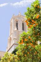 view of the dome of the Cathedral of Tarragona with tangerines, Spain